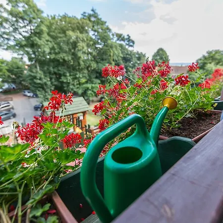 Polonia クリニツァ・モルスカ