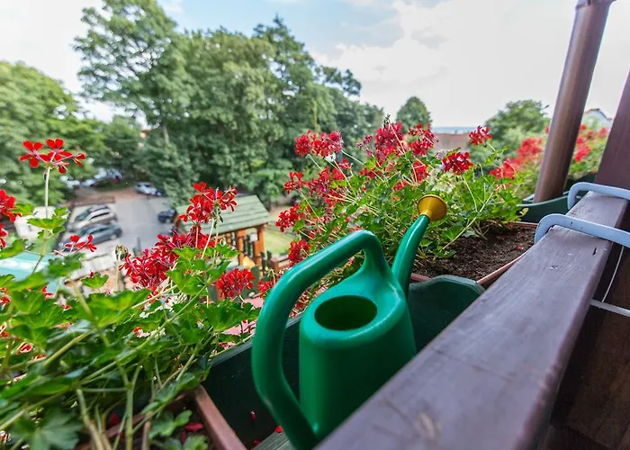 Polonia Krynica Morska