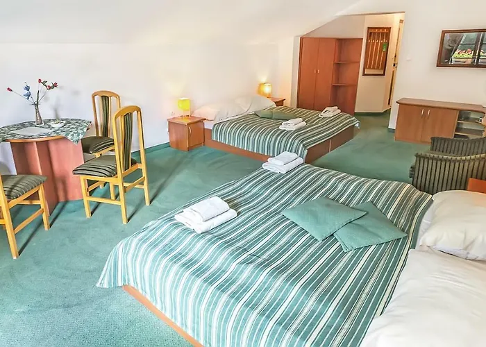 Pensionat Polonia 2*